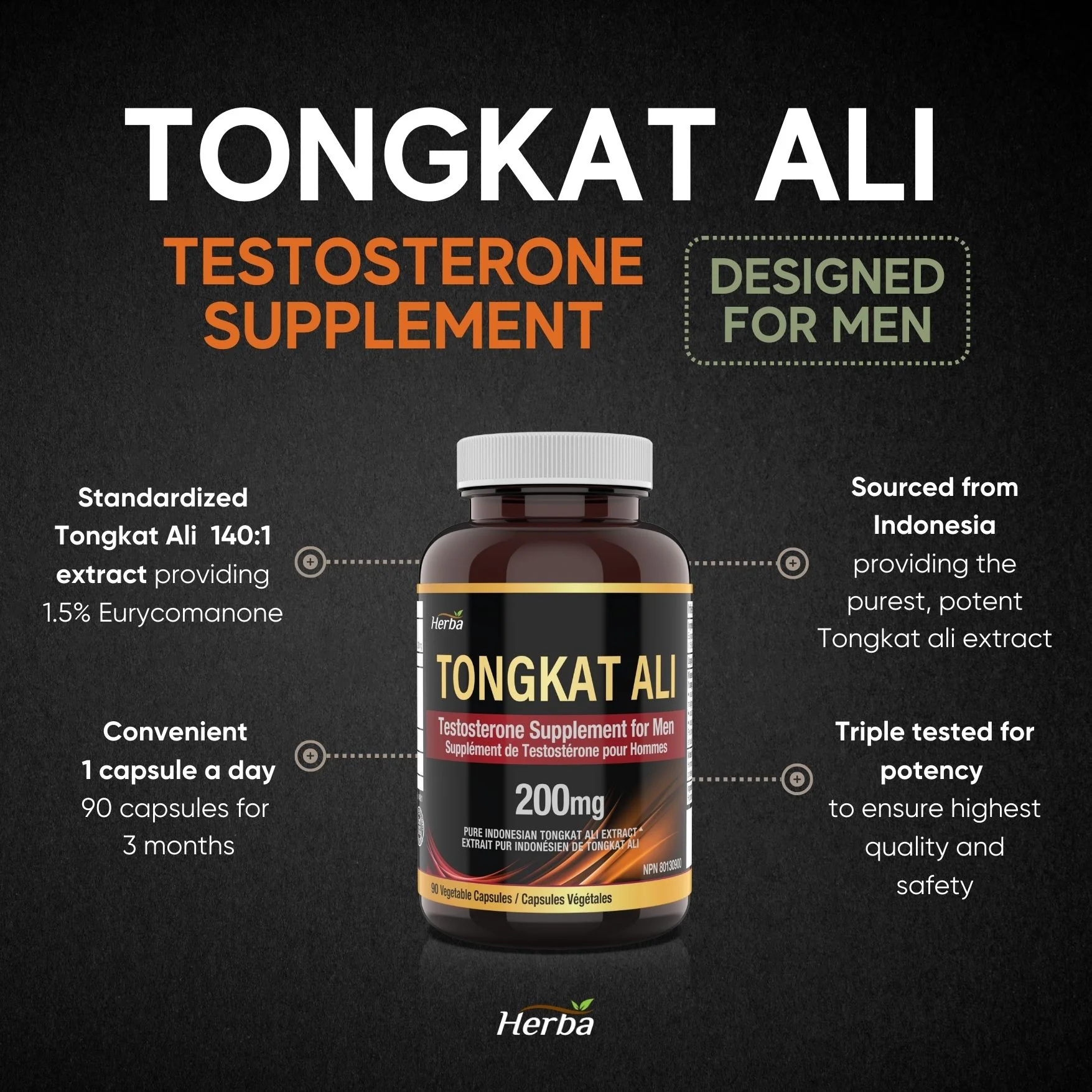 Pure Tongkat Ali Supplement for Men 200mg – 90 Capsules | Indonesian Tongkat-ali Extract | Made in Canada - Image 3